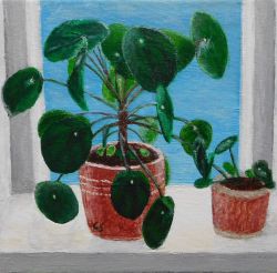 Painting: Pancake Plant